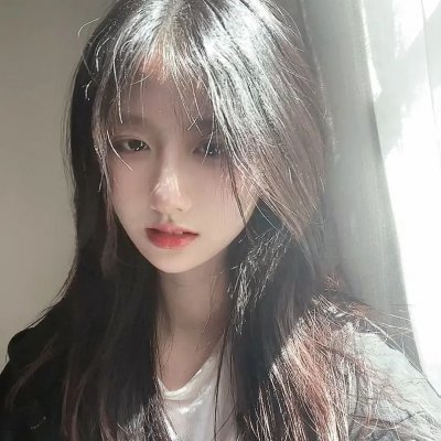 犬之力