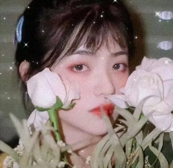 偶然的田园日记